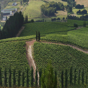 Hamilton Russell Vineyards