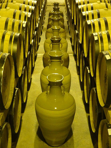 9 New Amphorae for Hamilton Russell Vineyards Chardonnay